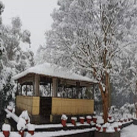 Chevron Rosemount Hotell Ranikhet Eksteriør bilde